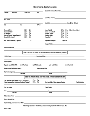 Georgia Report of Conviction
