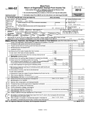 Form 990-EZ 2013