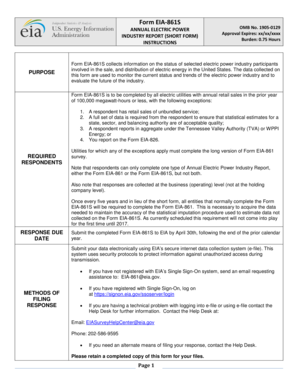 Form EIA-861S Annual Electric Power Industry Report