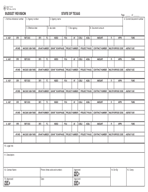Texas Budget Revision Form