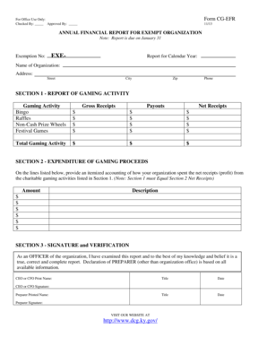 Annual Financial Report for Exempt Organization