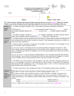 Chapter 13 Bankruptcy Plan