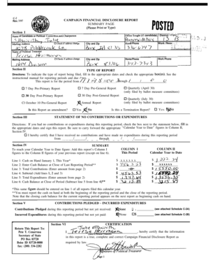 Campaign Financial Disclosure Report