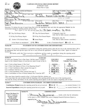 Campaign Financial Disclosure Report