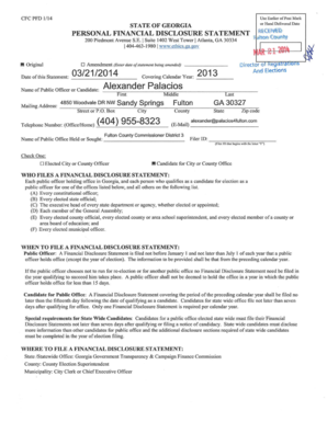Georgia Personal Financial Disclosure Statement