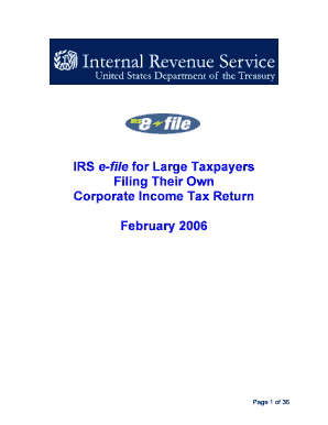 IRS e-file Guide for Large Corporations