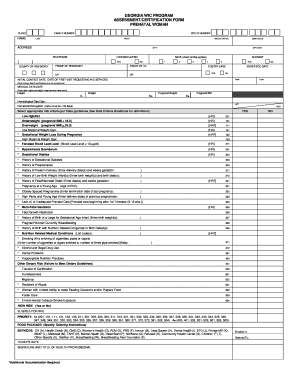 Georgia WIC Prenatal Certification Form