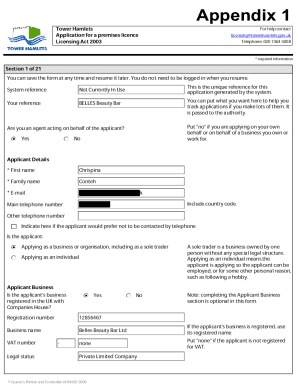 Form preview