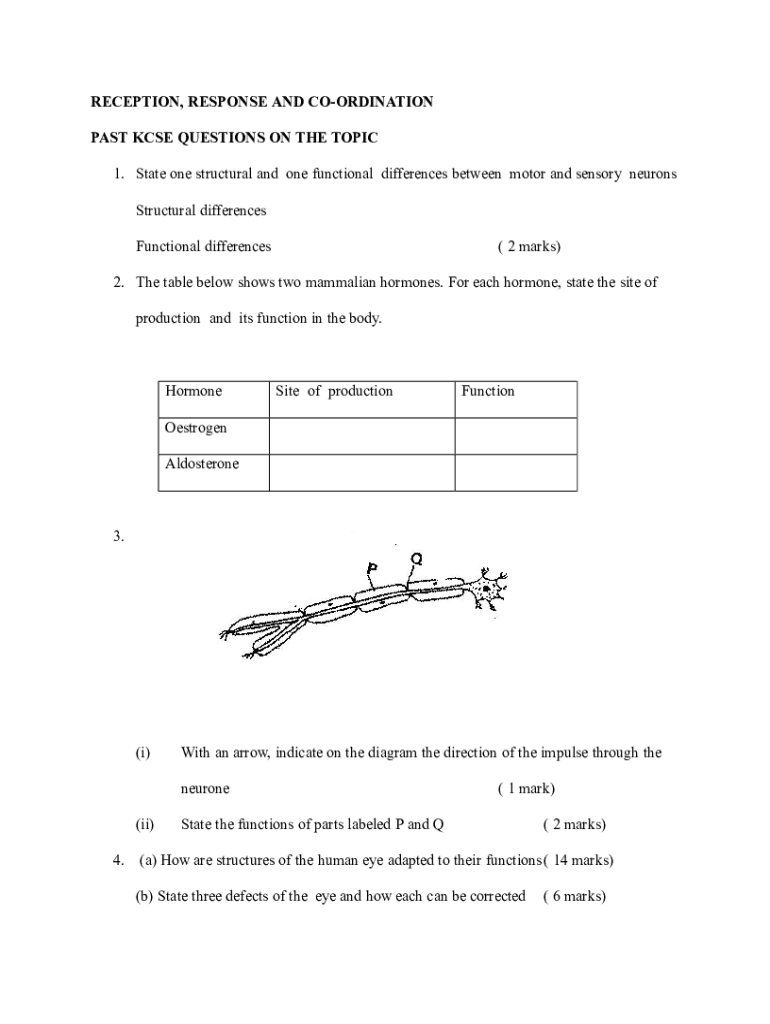 Fillable Online 14.5 Sensory and Motor PathwaysAnatomy & Physiology Fax ...
