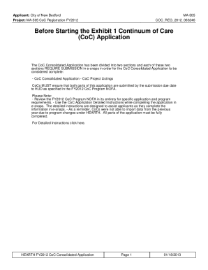 CONTINUUM OF CARE APPLICATION PDF visual data 3