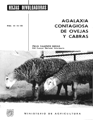 De ovejas