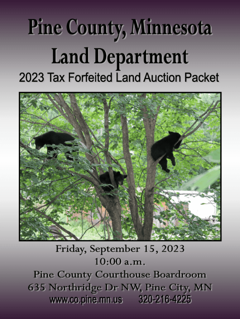 Fillable Online Pine County Land Department 2023 Tax Forfeit Fax
