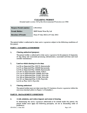 BHP Nickel West Mt Keith Satellite Project