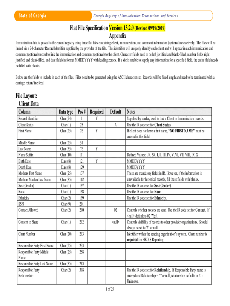 Fillable Online Flat File Specification Version 13 Fax Email Print ...