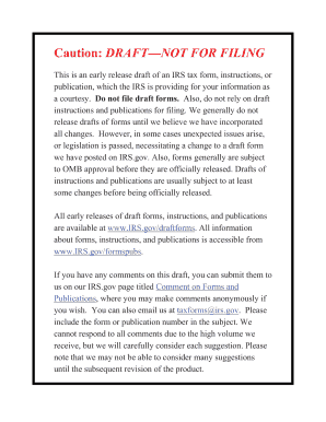 Form 8948 Preparer Explanation for Not Filing Electronically