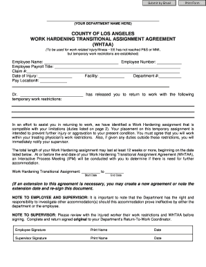 E Work Hardening Transitional Assignment Agreement rev 2 10.doc - cao lacounty