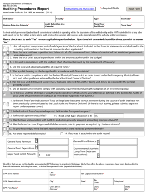 Michigan Auditing Procedures Report