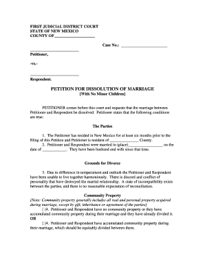 New Mexico Petition for Dissolution of Marriage