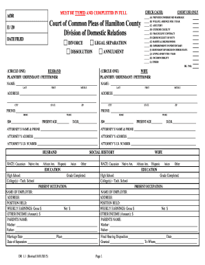 Divorce Petition Form