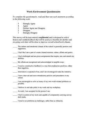 Work Environment Questionnaire