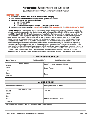 US Federal Debtor Financial Statement Form