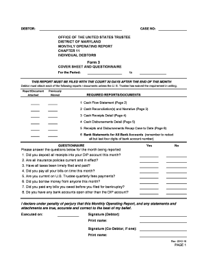 Chapter 11 Monthly Operating Report Form 3
