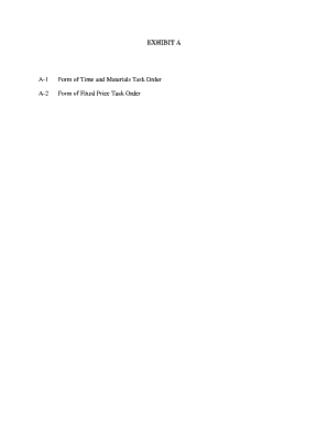 Time and Materials Task Order Form