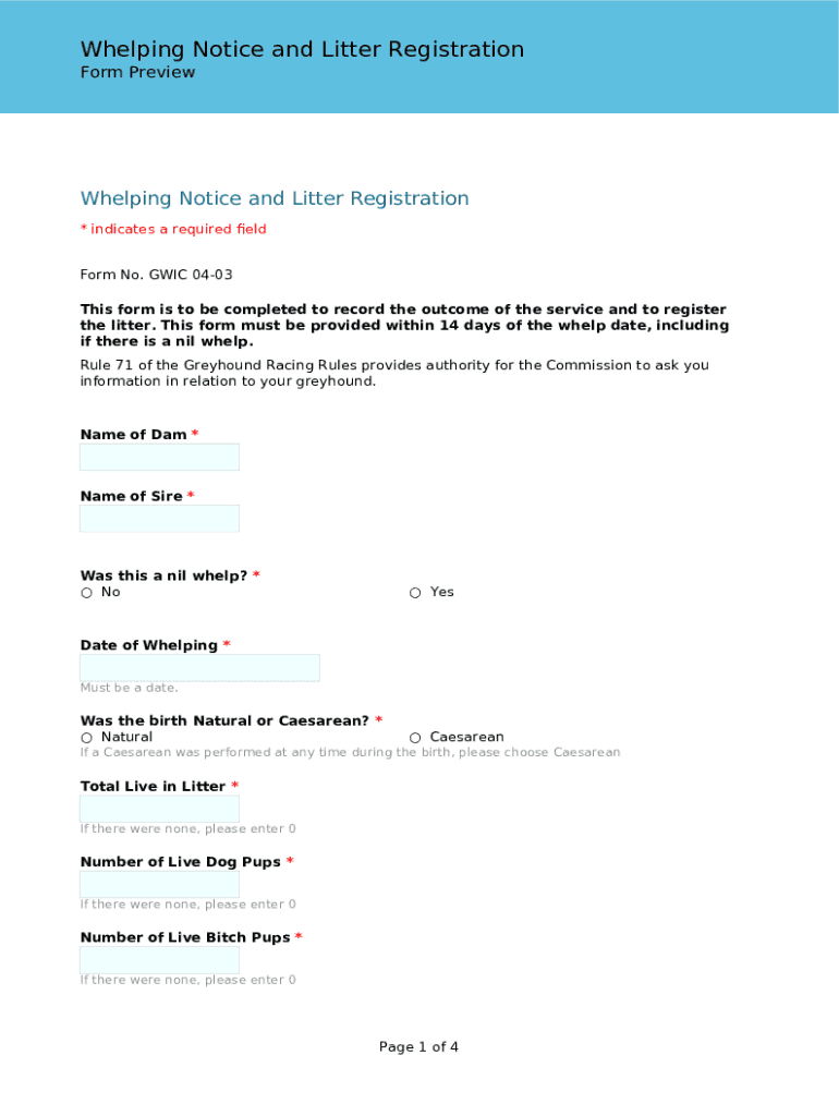 Form preview