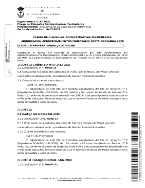 Ayuntamiento de Duruelo de la Sierra: Inicio
