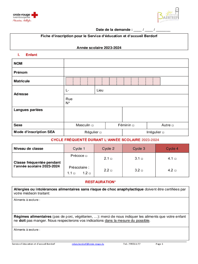 Form preview