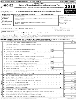 Fillable Online E-File Form 990-EZ Online Fax Email Print - pdfFiller