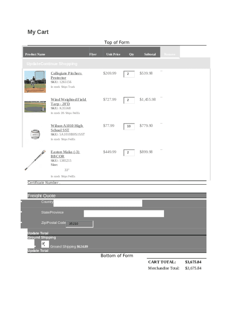 Form preview