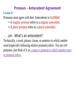 singular indefinite pronoun antecedent everyone