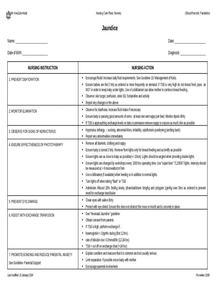 Sparks and Taylor's Nursing Diagnosis Pocket Guide Doc Template pdfFiller