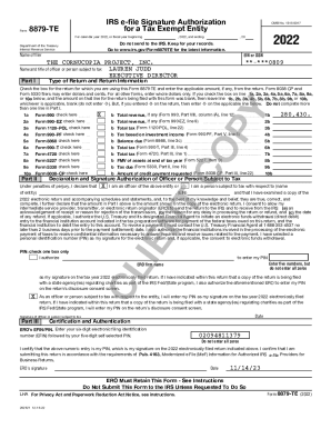 2020-2024 Form IRS 8879-EO Fill Online, Printable, Fillable ...
