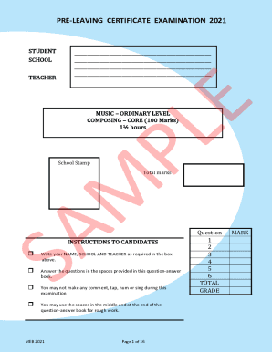 Academic Supports and Pathways to Attain a High School ...