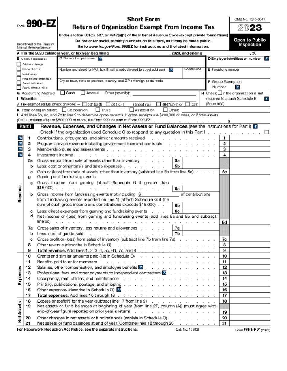 Type On Form 990-EZ