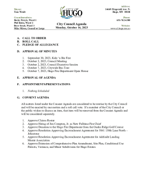 Mike Miron, Council at Large