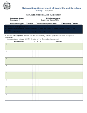 Performance Evaluation Form Word