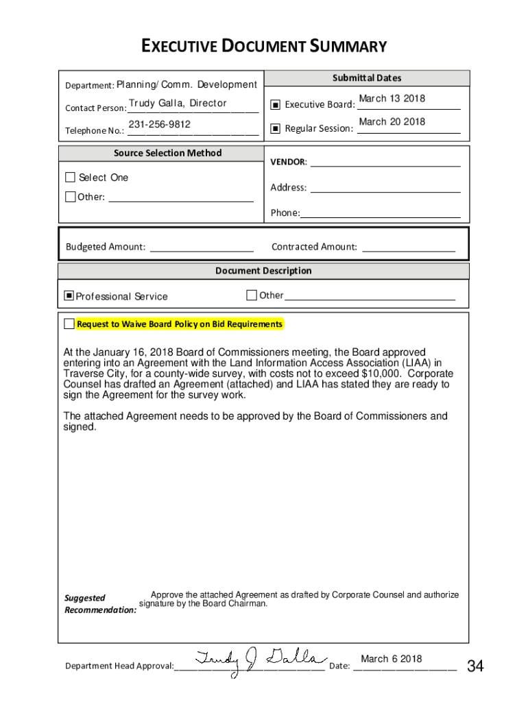 Fillable Online Bingham Township Zoning Ordinance Fax Email Print