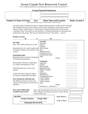 Scouts Canada Financial Statement Form