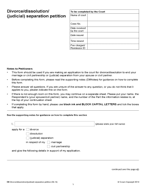 Divorce/Dissolution/Judicial Separation Petition