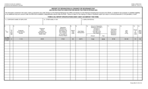 Railroad Retirement Board Separation Allowance Report
