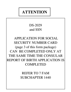 US Consular Report of Birth Abroad Application