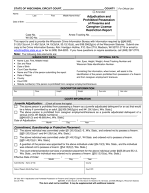 Wisconsin Firearms and Caregiver License Restriction Report
