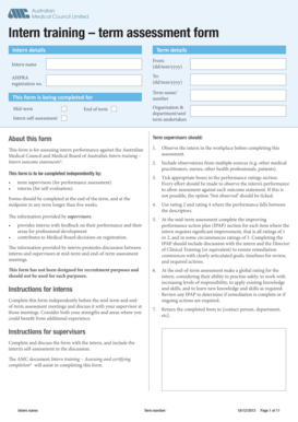 Intern Training Term Assessment Form
