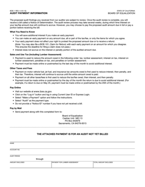 California Audit Payment Information Form