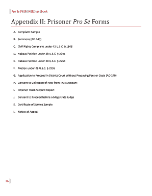 Prisoner Pro Se Civil Rights Complaint Form