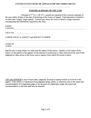 Concise Summary of the Case Form