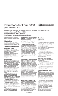 Form 8858 Instructions